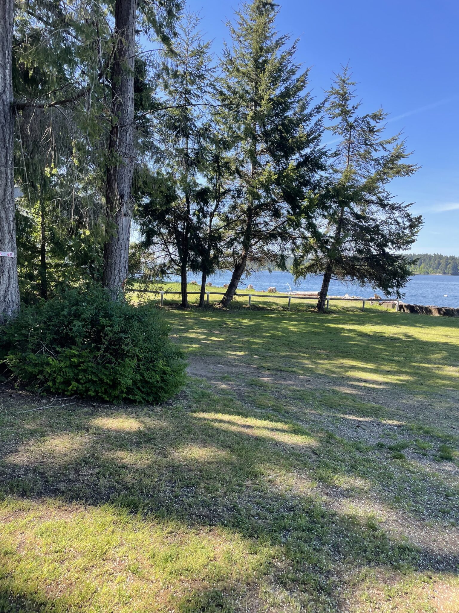 Campsite 45 Harstine Island Recreation Property