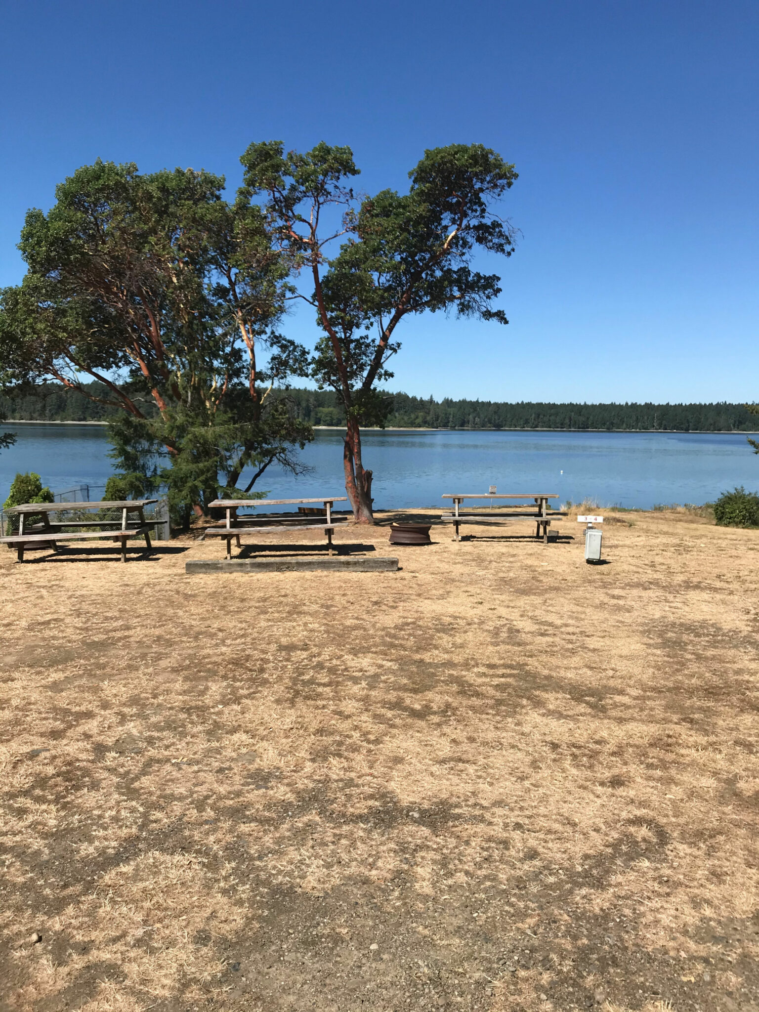 Campsite 3 Harstine Island Recreation Property