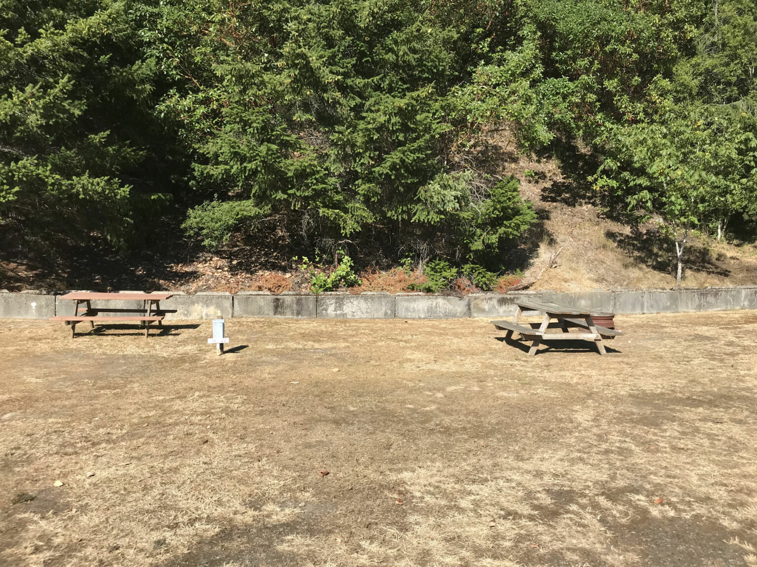 Campsite 12 Harstine Island Recreation Property