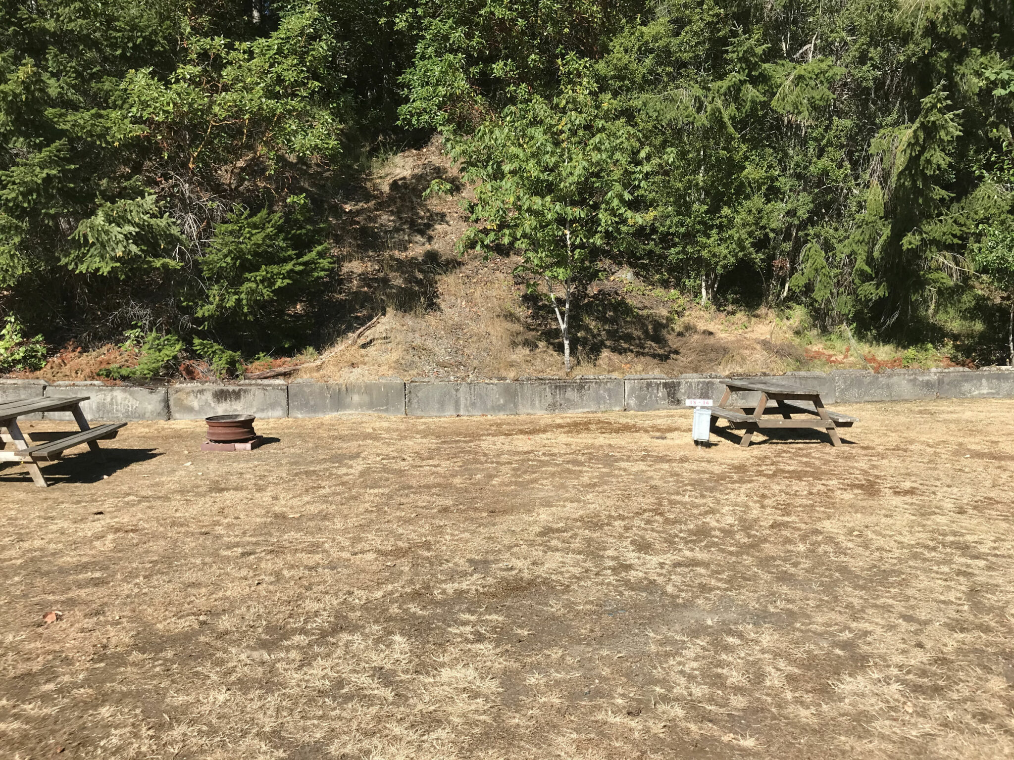 Campsite 13 Harstine Island Recreation Property