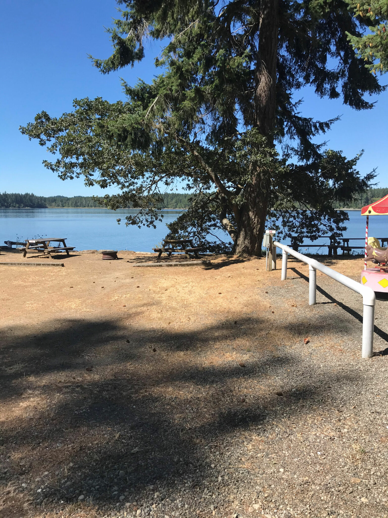 Campsite 25 Harstine Island Recreation Property