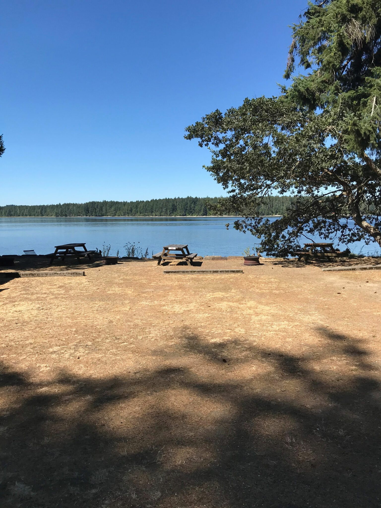 Campsite 26 Harstine Island Recreation Property