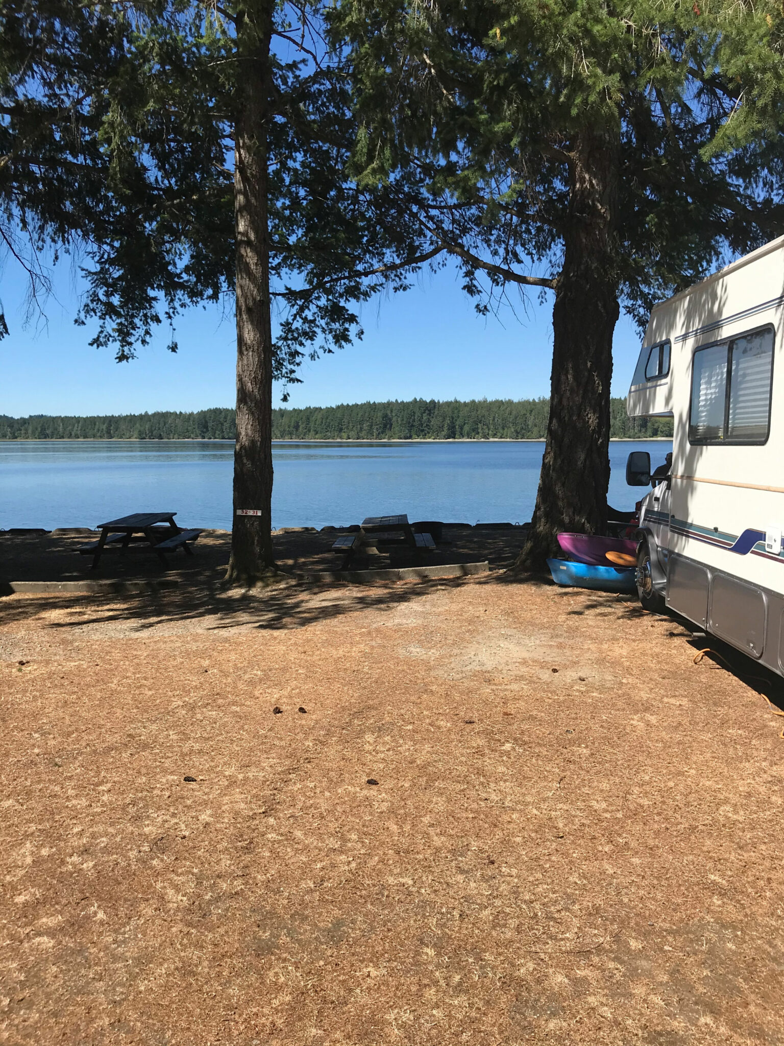 Campsite 31 Harstine Island Recreation Property