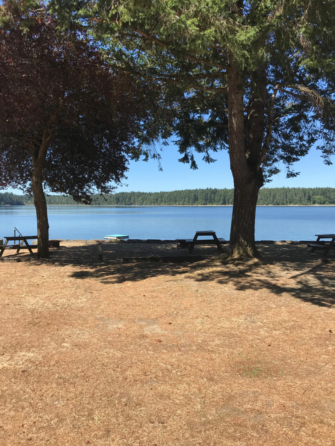 Campsite 34 Harstine Island Recreation Property
