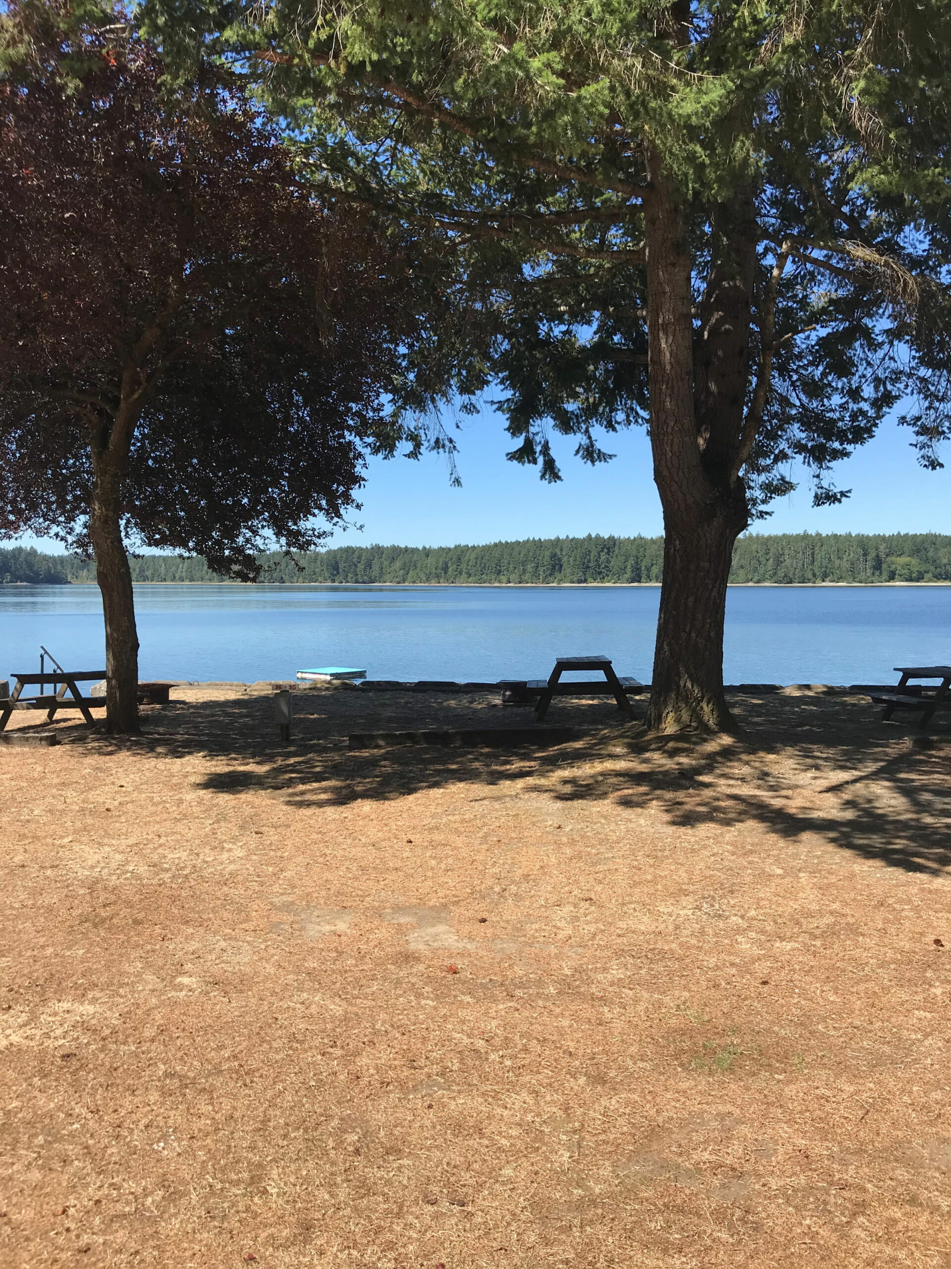Campsite 34 Harstine Island Recreation Property