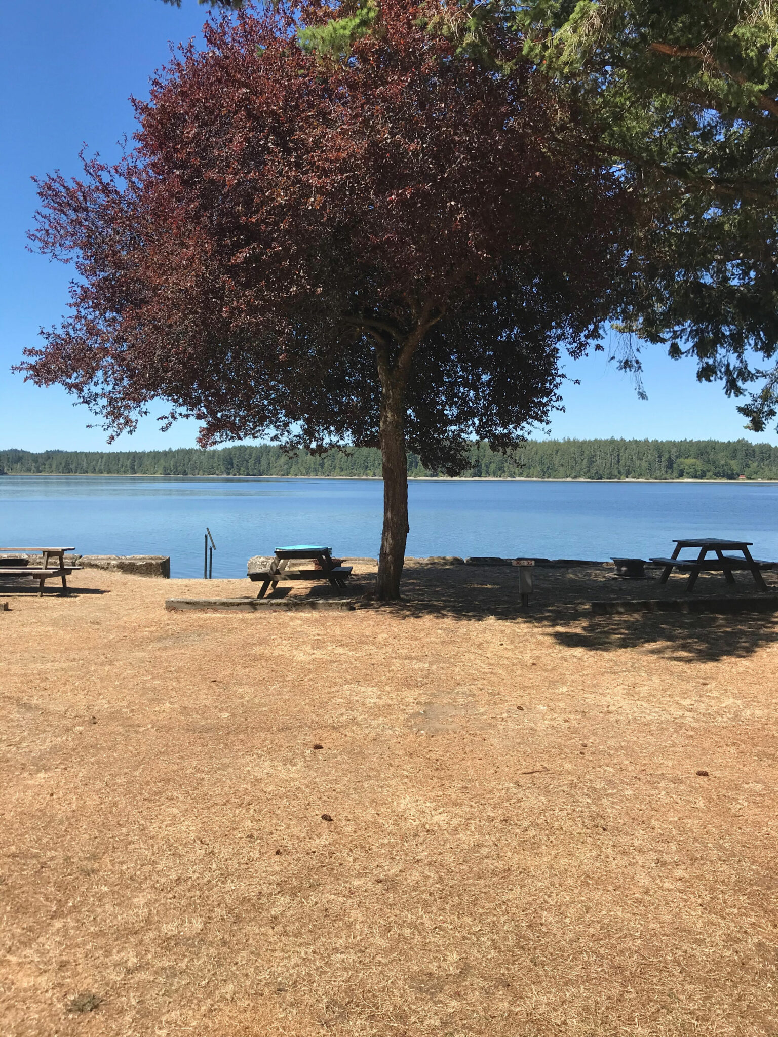 Campsite 36 Harstine Island Recreation Property