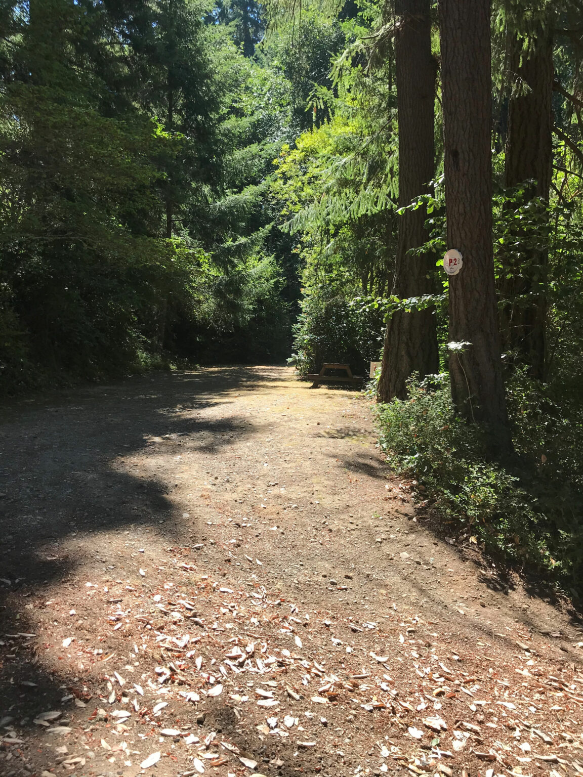 Campsite P2 A Harstine Island Recreation Property