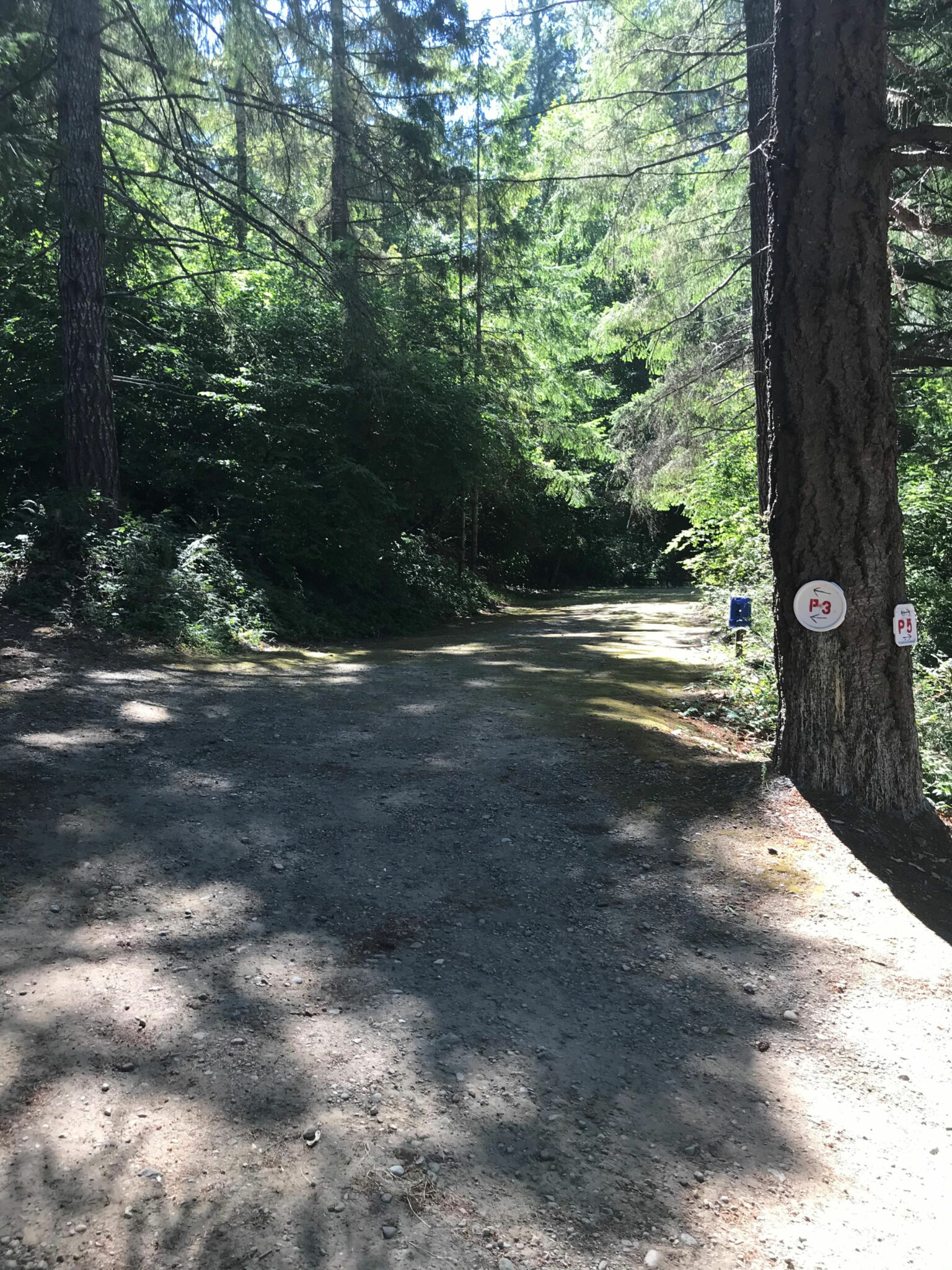 Campsite P3 Harstine Island Recreation Property